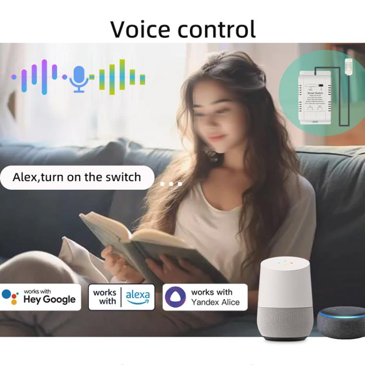 DIY-WT-09 20A Temperature Switch Smart Thermostat, Compatible With Google / Alexa / Yandex Alice / IFTTT, With 1m Temperature Sensor, With 2m Temperature Sensor, Humidity+1m Temperature Humidity Sensor