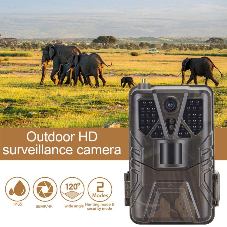 4K 4G Hunting Camera With APP Supports FTP / Email / LIVE VIDEO, HC-910Pro