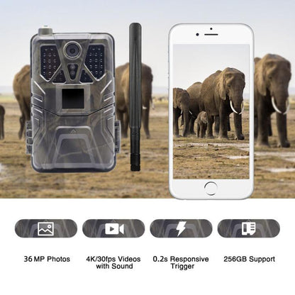 4K 4G Hunting Camera With APP Supports FTP / Email / LIVE VIDEO, HC-910Pro