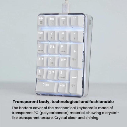 Little Kangaroo DS-9817 Backlit Non-Switching Wired Numeric Keypad Financial Business Banking Keyboard, DS-9817