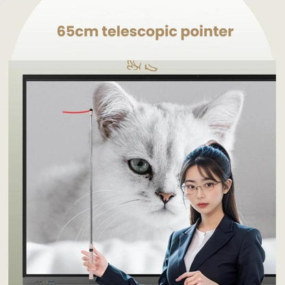 OUBAI T10S Presentation Pointer With Magnifier & Air Mouse, Red Laser, Screen Writing, Timer, Plug & Play