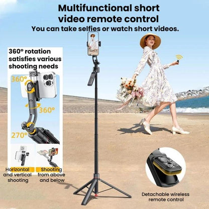 Auto Face Tracking Selfie Stick Anti-Shake Retractable Phone Stand, TT07, TT07D