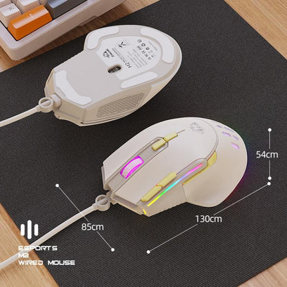 ZIYOULANG M2 RGB Illuminated 1.6m Wired Gaming Mice 12800 DPI Macro-Programmable Mouse