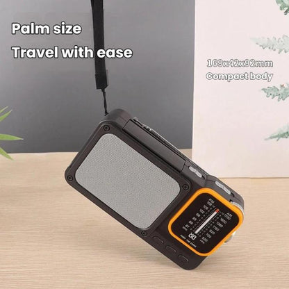 W-916 Portable Pointer Radio With Reading Light FM/AM Dual-Band Radio