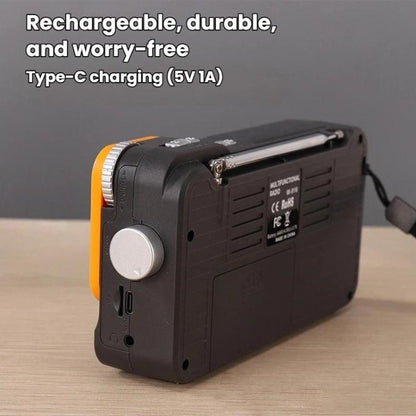 W-916 Portable Pointer Radio With Reading Light FM/AM Dual-Band Radio