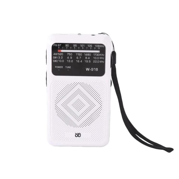 W-918 Pointer Dual-Power Radio FM/AM/SW Full-Band Radio