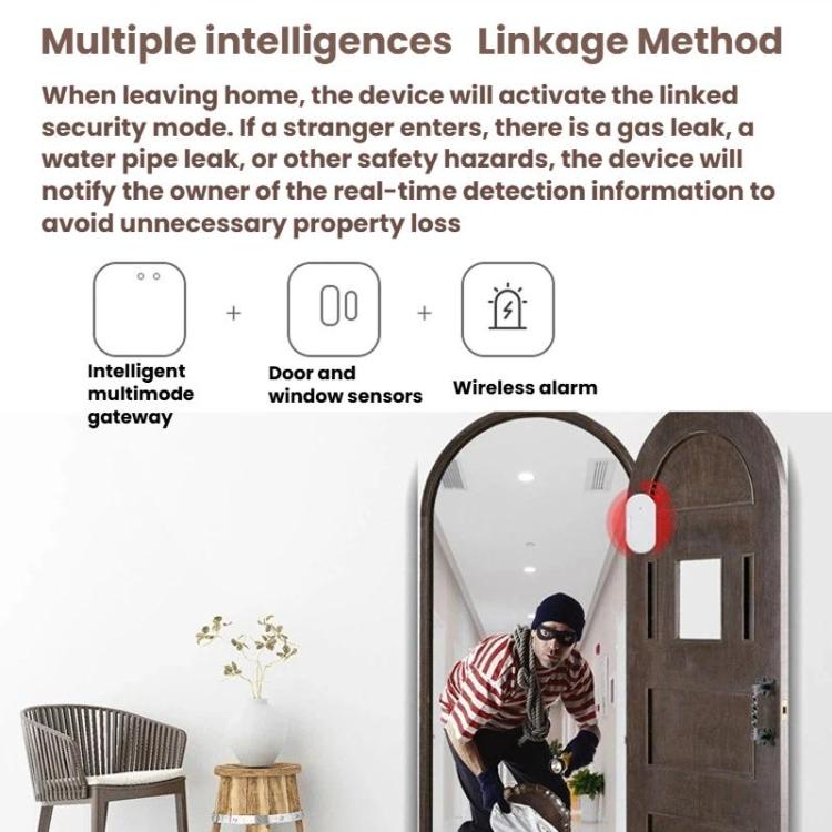 2 In 1 Smart Zigbee Door Window Sensor, Compatible With Home Assistant, ZG-102Z
