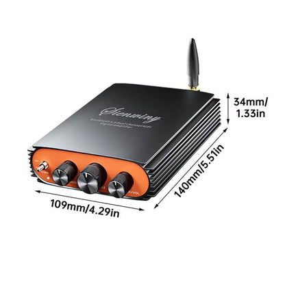 Sienwiny YS-KL5 Bluetooth 5.3 Dual-Channel TPA3255 Chip 600W High-Power HiFi Digital Amplifier, EU Plug, US Plug