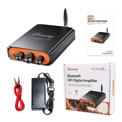 Sienwiny YS-KL5 Bluetooth 5.3 Dual-Channel TPA3255 Chip 600W High-Power HiFi Digital Amplifier, EU Plug, US Plug