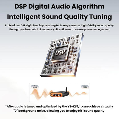 Sienwiny YS-KL5 Bluetooth 5.3 Dual-Channel TPA3255 Chip 600W High-Power HiFi Digital Amplifier, EU Plug, US Plug