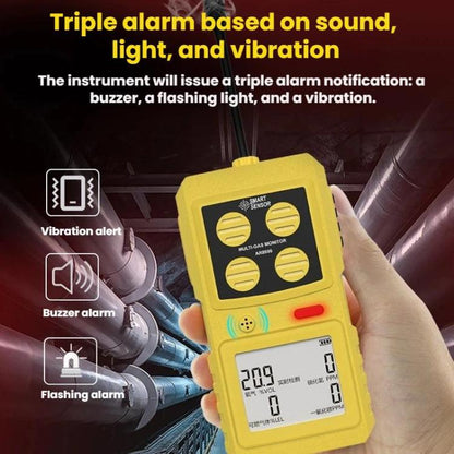 SMART SENSOR 4 In 1 Oxygen/Hydrogen Sulfide/Carbon Monoxide Gas Detector, AR8900