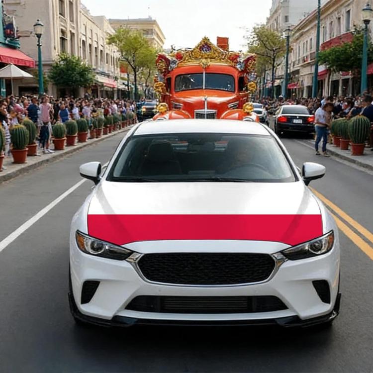 USA-Canada-Mexico World Cup Cheering Flag Dustproof Car Cover, Poland, Scotland, Denmark, Ecuador, Senegal, Cape Verde, Colombia, Costa Rica, Haiti, Netherlands, Croatia, Cura?ao, Peru, Morocco, South Africa, Norway, Sweden, Serbia, Algeria, Tunisia