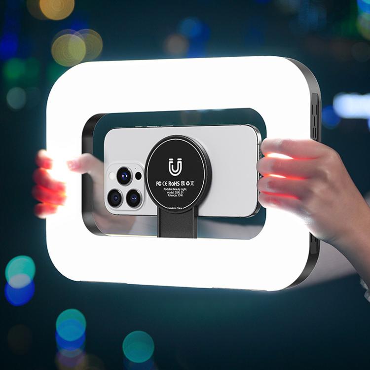 Phone Video Rig Light Rechargeable Handheld Selfie Ring Light, ZGRL01 Three-Color Temperature
