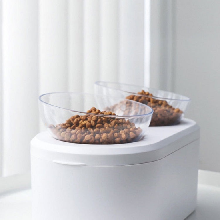 Transparent Pet Bowl Grain Storage Type Neck Protector Oblique Double Bowl, Oblique Double Bowl