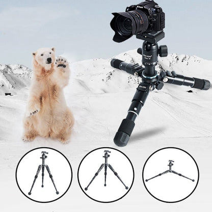 BEXIN Mate 10 Mobile Phone Camera Desktop Aluminum Alloy Tripod Mount Live Broadcast Selfie Stick Tripod, BEXIN Mate 10